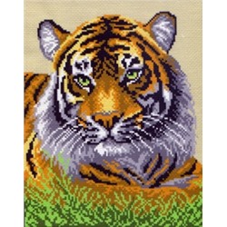 Туранский тигр 0434