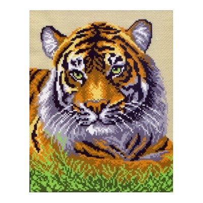 Туранский тигр 0434