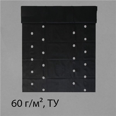 Материал мульчирующий, 10 × 1.6 м, плотность 60 г/м², спанбонд с УФ-стабилизатором, четыре ряда перфорации, чёрный