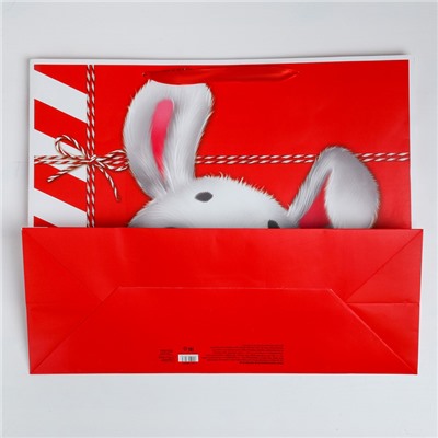Пакет ламинированный «Посылка», XL 49 × 40 × 19 см
