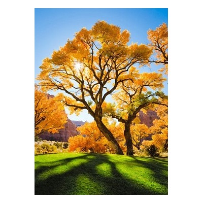 АЖ.1166 "Осеннее дерево"