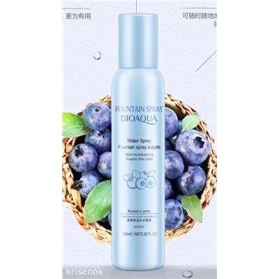 Увлажняющий спрей для лица с экстрактом черники Fountain Spray Blueberry (120мл.), BIOAQUA