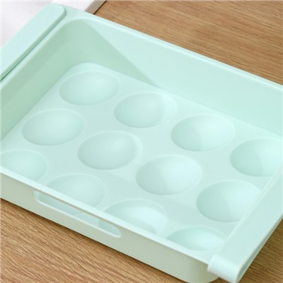 Полка для яиц в холодильник, подвесная, 12 ячеек, 26×17×5 см, цвет МИКС
