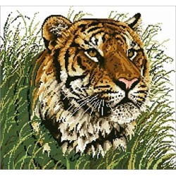 АЖ.SP-485 "Уссурийский тигр"